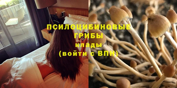 мдма Заволжск