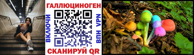 Галлюциногенные грибы Cubensis Западная Двина