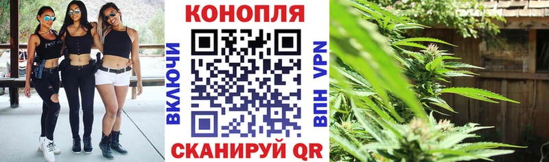 сколько стоит  Западная Двина  МАРИХУАНА AK-47 